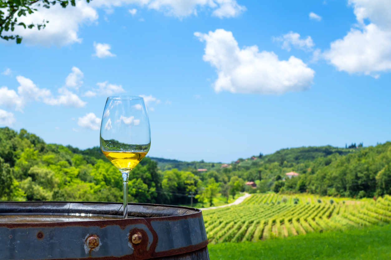 vignoble croate